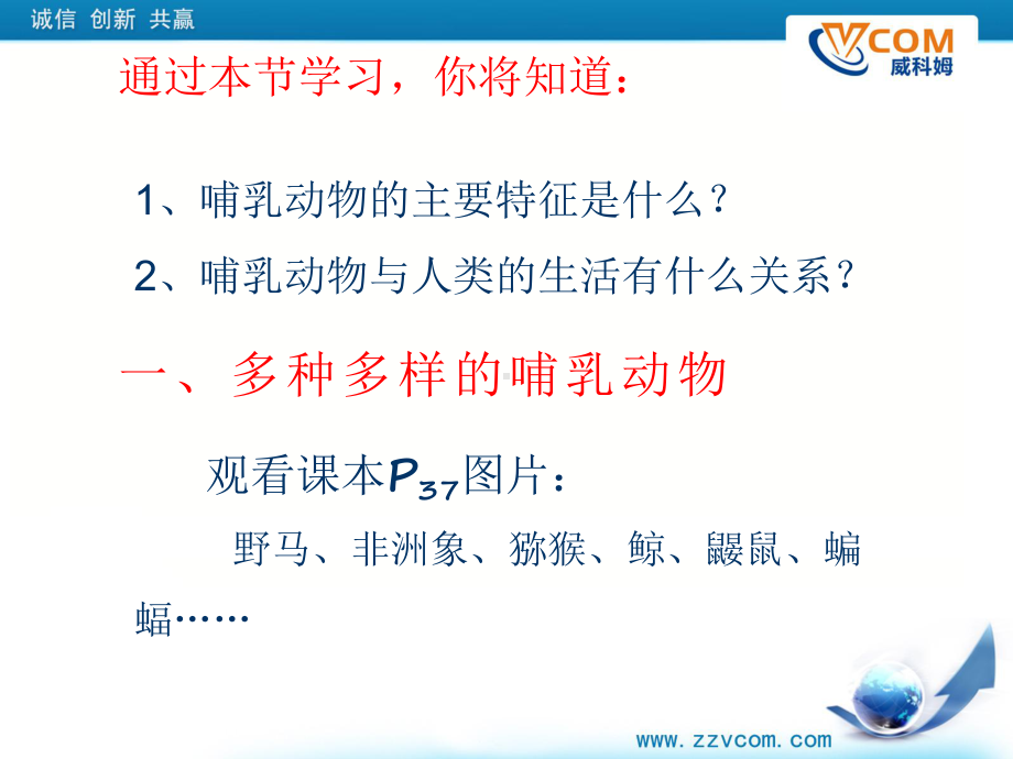 《哺乳动物》参考课件.ppt_第3页