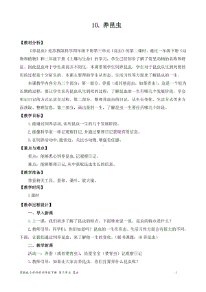 2022新苏教版四年级下册科学3.10.养昆虫 教案.docx