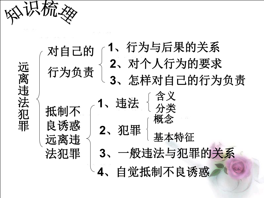 《远离违法犯罪》课件(21张PPT)(陕教版九年级全).ppt_第3页