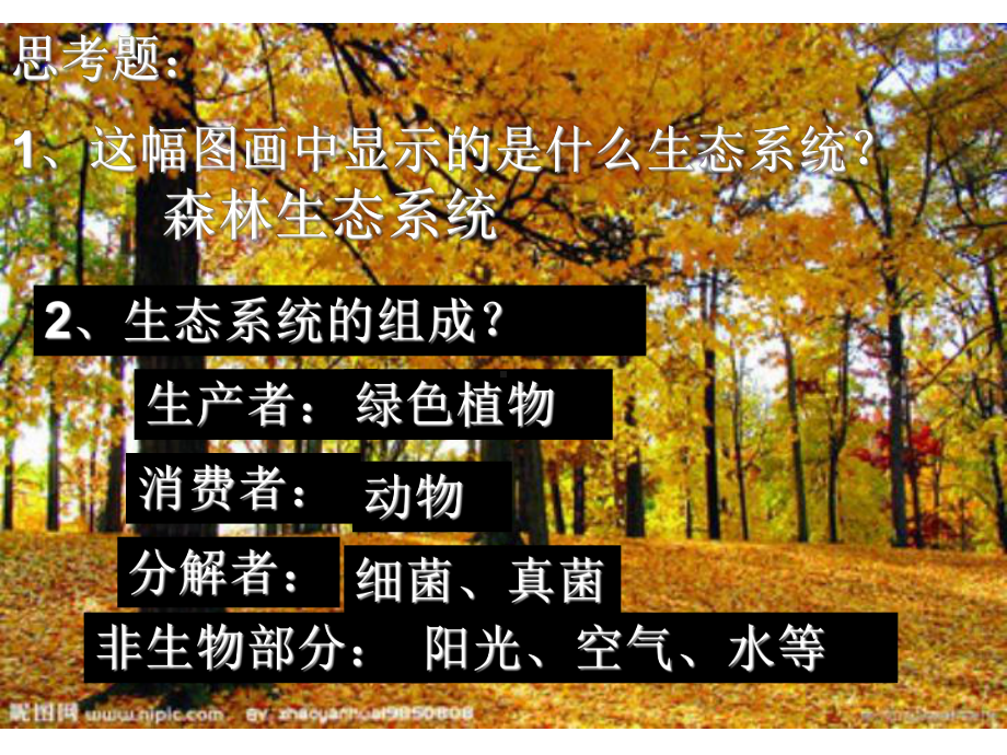 《细菌和真菌在自然界中的作用》ppt课件.ppt_第3页