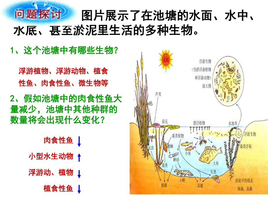 群落的结构000..ppt_第2页