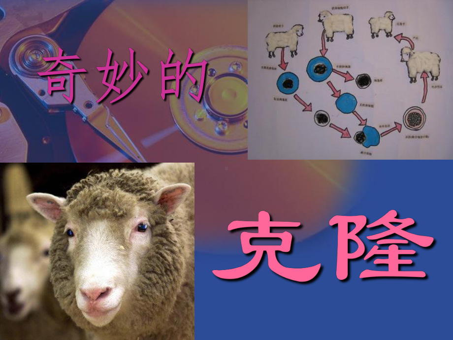 《奇妙的克隆》ppt课件.ppt_第1页