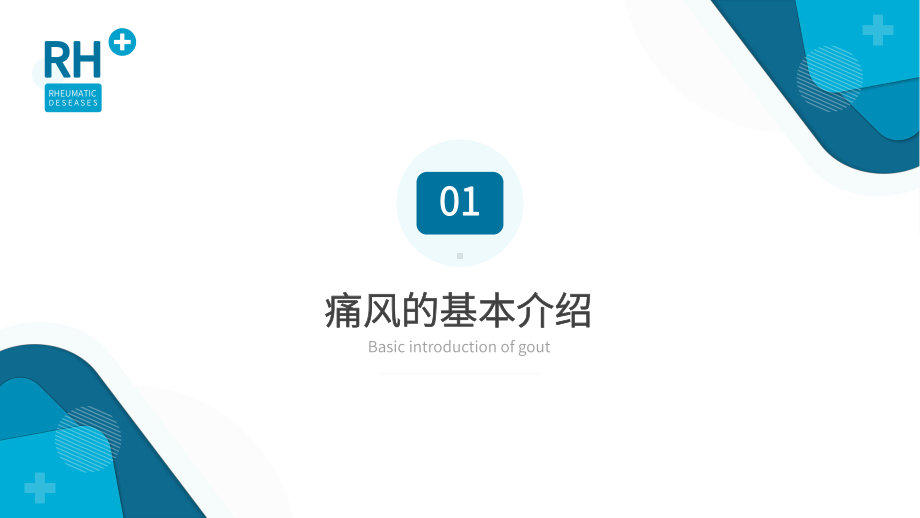 风湿性痛风内科医疗保健医学教程ppt课件（带内容）.pptx_第3页