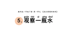 杭州学校新教科版一年级科学下册1-5《观察一瓶水》课件.pptx