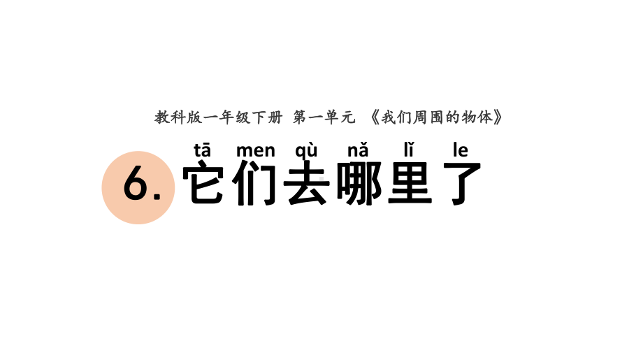 杭州学校新教科版一年级科学下册1-6《它们去哪里了》课件.pptx_第1页