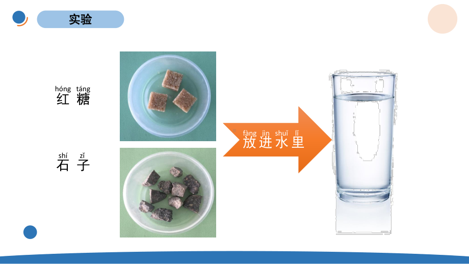 杭州学校新教科版一年级科学下册1-6《它们去哪里了》课件.pptx_第2页