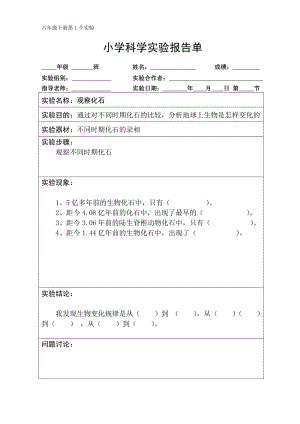 六年级下册科学素材-实验报告单2022湘科版（一起）.doc