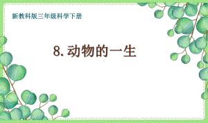 2021-2022新教科版三年级科学下册2-8《动物的一生》课件.pptx