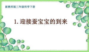 2021-2022新教科版三年级科学下册第二单元《动物的一生》全部课件(含8课).pptx