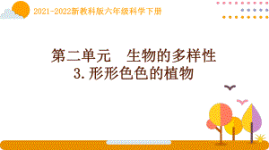 2022新教科版科学六年级下册第二单元3《形形色色的植物》课件.pptx