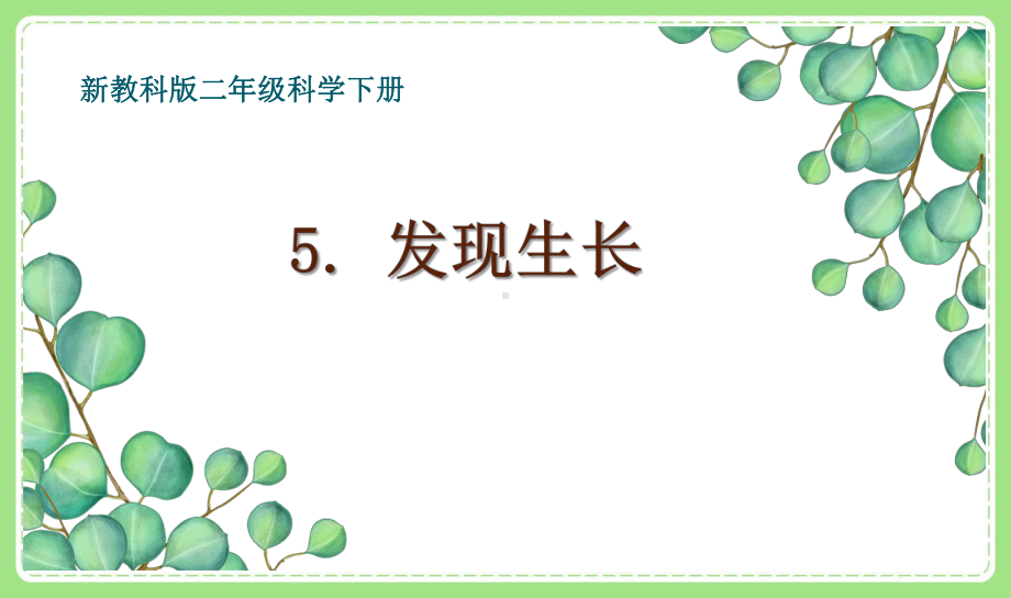 2021-2022新教科版二年级科学下册2-5《发现生长》课件.pptx_第1页