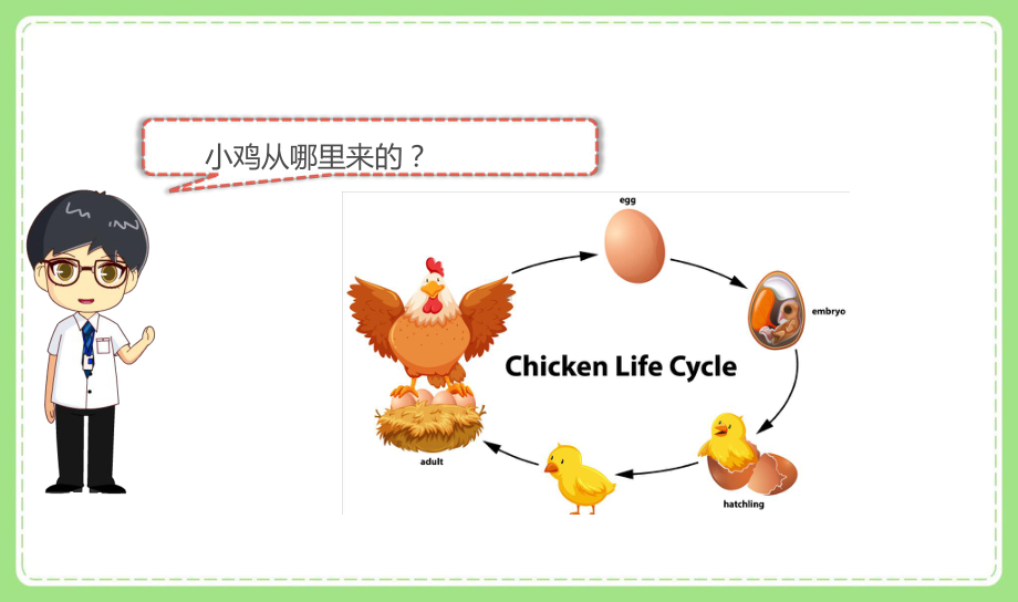 2021-2022新教科版三年级科学下册2-7《动物的繁殖》课件.pptx_第2页