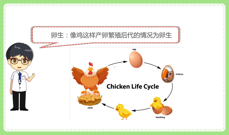 2021-2022新教科版三年级科学下册2-7《动物的繁殖》课件.pptx_第3页