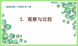 2021-2022新教科版二年级科学下册2-3《观察与比较》课件.pptx