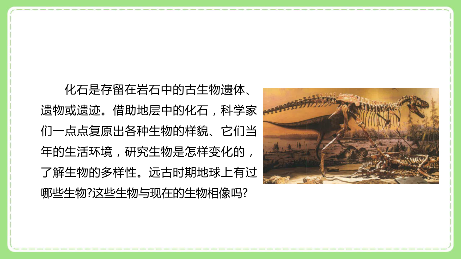 2022新教科版科学六年级下册第二单元6《古代生物的多样性》课件.pptx_第2页