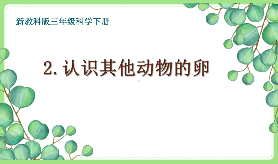 2021-2022新教科版三年级科学下册2-2《认识其他动物的卵》课件.pptx_第1页