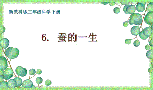 2021-2022新教科版三年级科学下册2-6《蚕的一生》课件.pptx