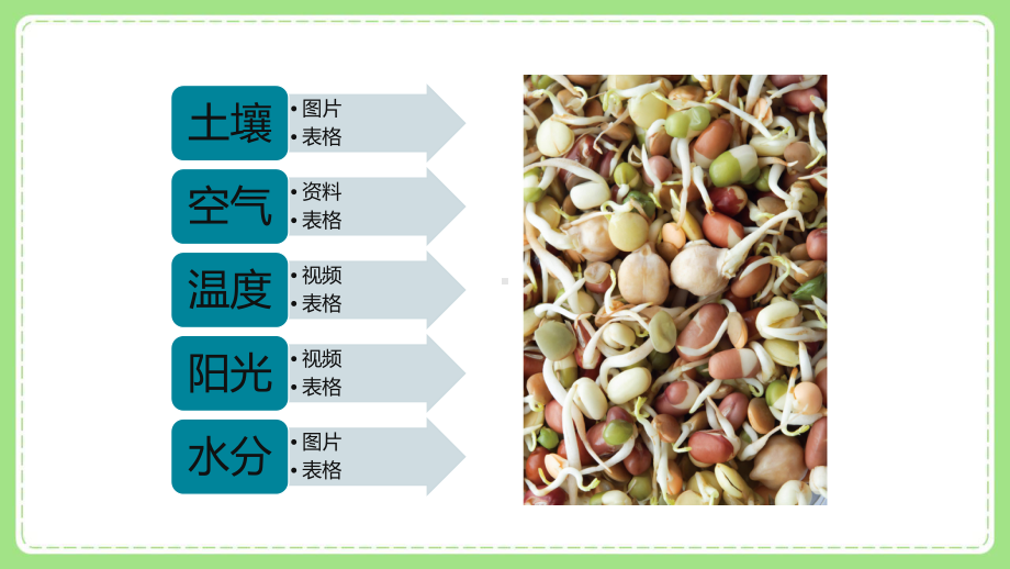 2022五年级下册新教科版科学第2课《比较种子发芽实验》课件.pptx_第3页