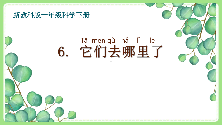 2021-2022新教科版一年级科学下册第一单元第6课《它们去哪里了》课件.ppt_第1页