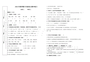 部编版六下语文期中练习+答题纸.docx