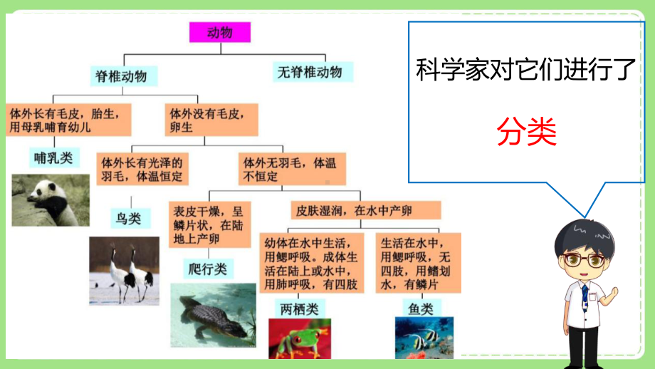 2021-2022新教科版一年级科学下册第二单元第6课《给动物分类》课件.ppt_第3页