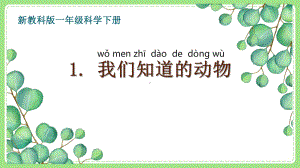 2021-2022新教科版一年级科学下册第二单元《动物》全部课件(共6课).pptx