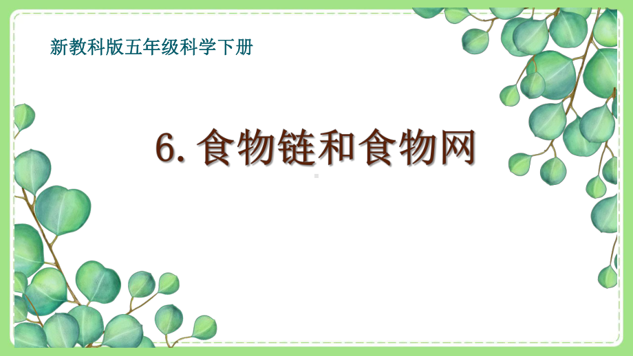 2022五年级下册新教科版科学第6课《食物链和食物网》课件.pptx_第1页