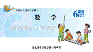 苏教版六下数学22.综合与实践：大树有多高.pptx