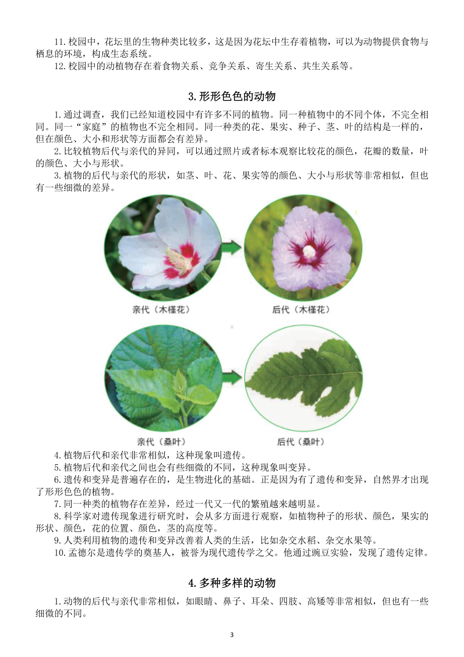 小学科学教科版六年级下册第二单元《生物的多样性》知识点整理（共7课）（2022新版）.docx_第3页