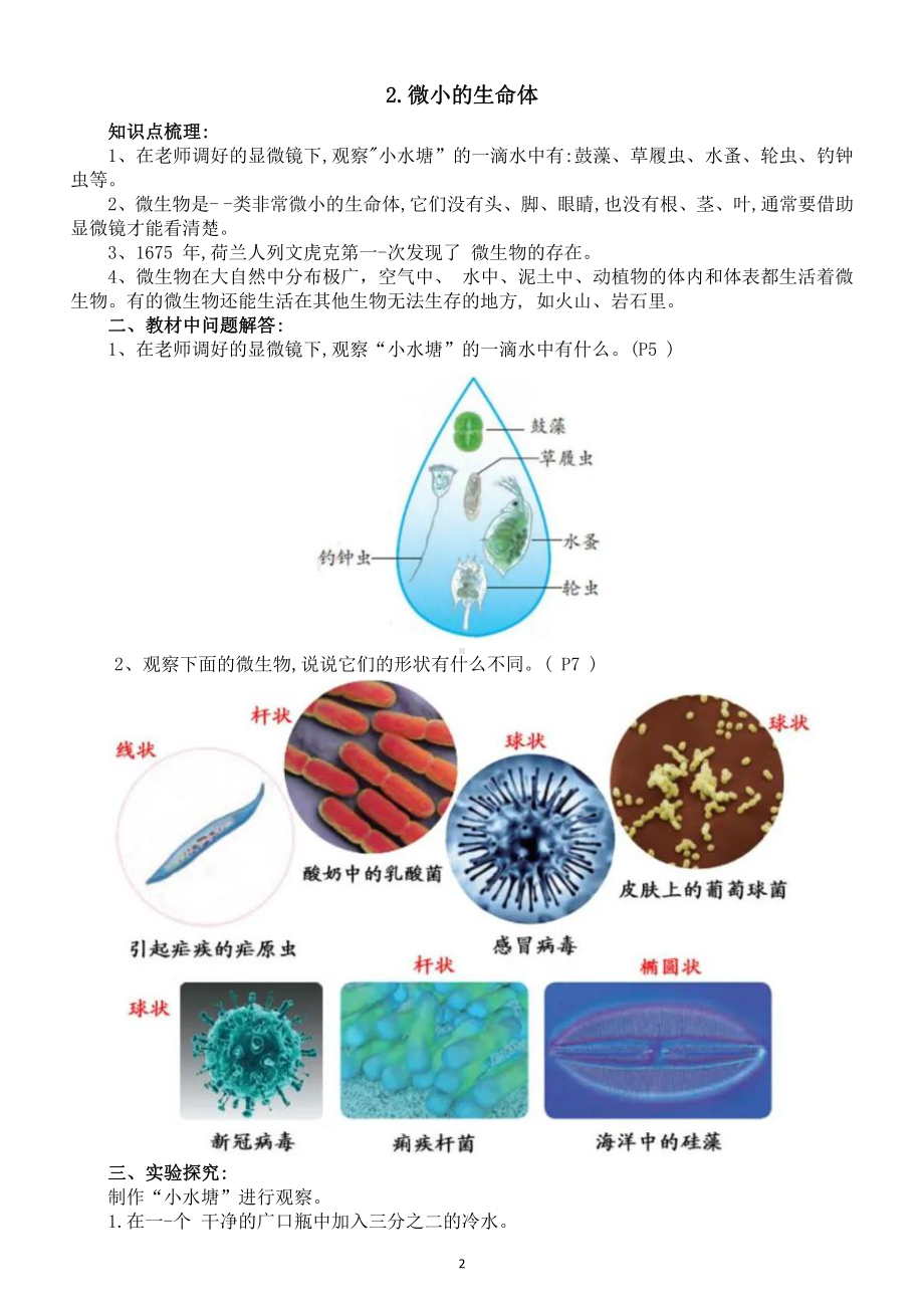 小学科学苏教版五年级下册第一单元《显微镜下的生命世界》知识点梳理（含教材问题解答、实验探究）（2022新版）.docx_第2页