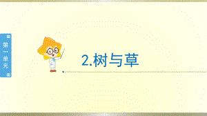 小学科学冀教版三年级下册第2课《树与草》课件2（2020新版）.pptx