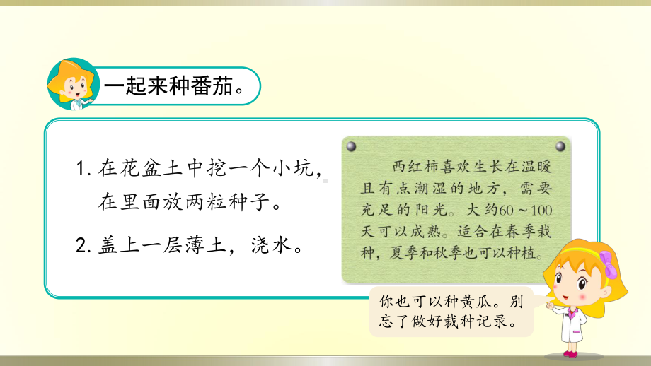 小学科学苏教版三年级下册第1课《种子发芽了》课件8（2020新版）.pptx_第3页