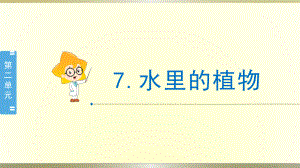 小学科学苏教版三年级下册第7课《水里的植物》课件8（2020新版）.pptx