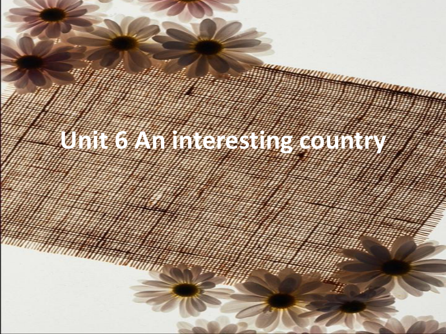 译林版六下英语Unit 6 An interesting country 课件 1.ppt_第1页