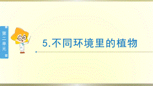 小学科学苏教版三年级下册第5课《不同环境里的植物》课件8（2020新版）.pptx