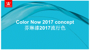 Tikkurila-Colornow-2017—任蕊.pptx