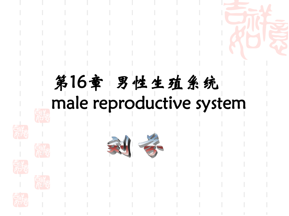 第16章 男性生殖-芬.ppt_第1页