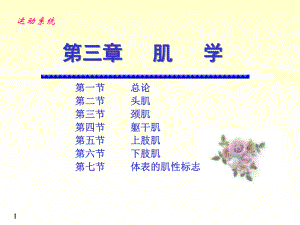 chapter03肌学.ppt