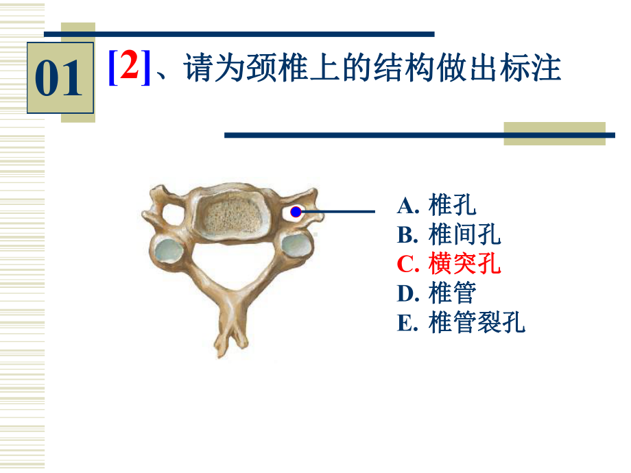 08-1-96学时实验.ppt_第3页