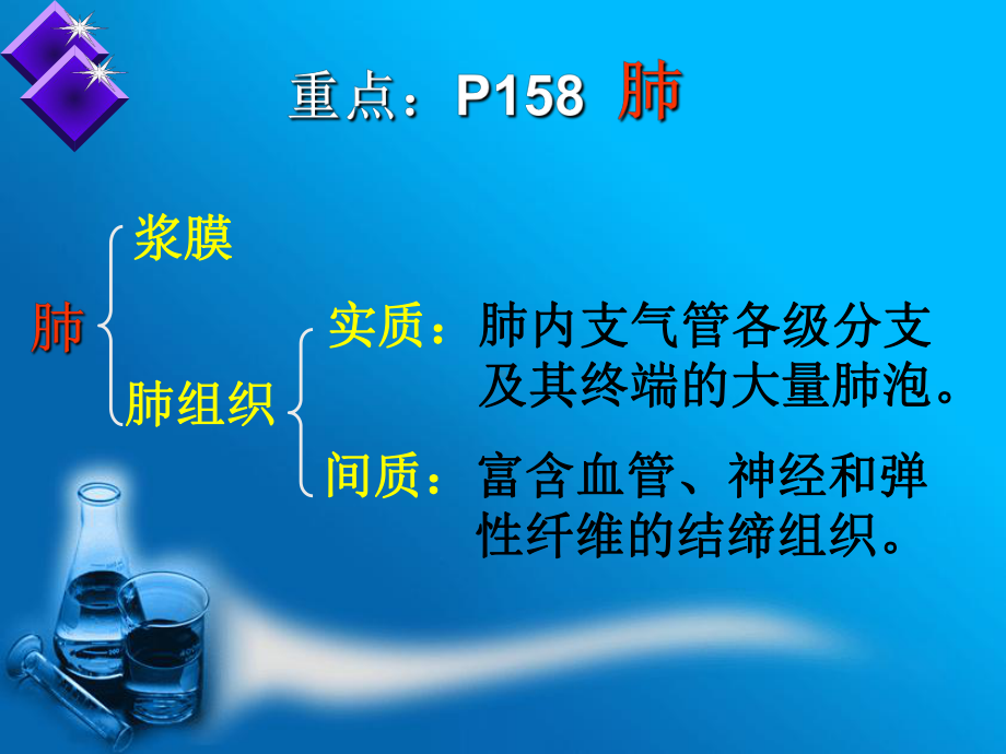 第13章 呼吸系统-芬.ppt_第3页