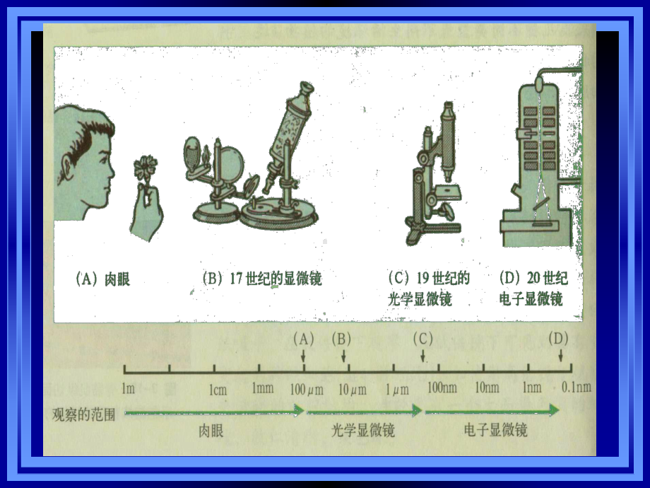 材料科学与工程进展课件：第四章 纳米材料表征.ppt_第2页