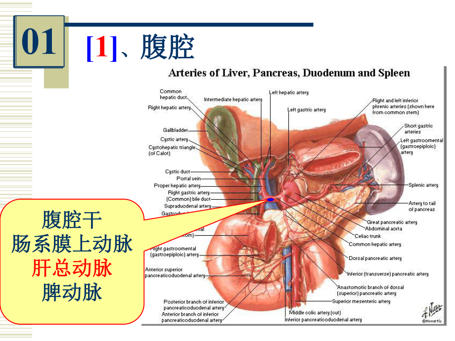 96学时实验.ppt_第3页