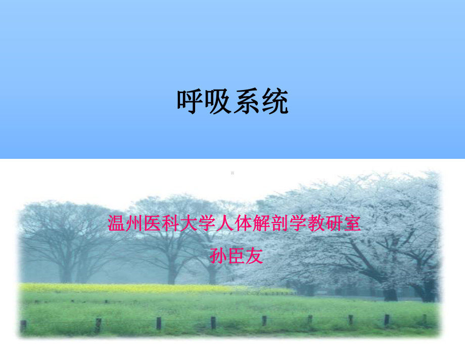 呼吸和泌尿系统.ppt_第1页