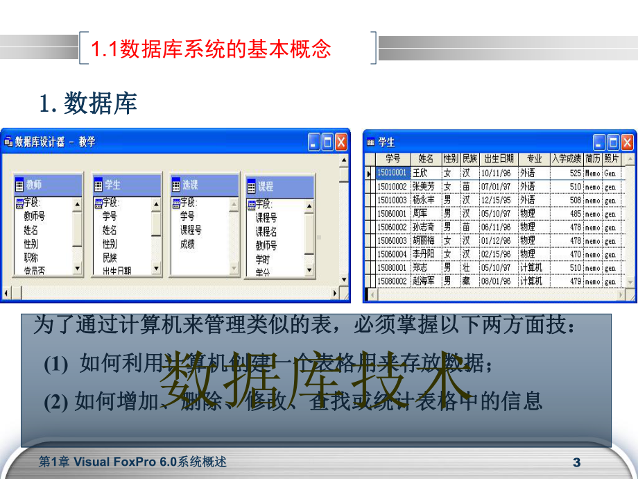 vfp(第3版)课件：第1章-16.ppt_第3页