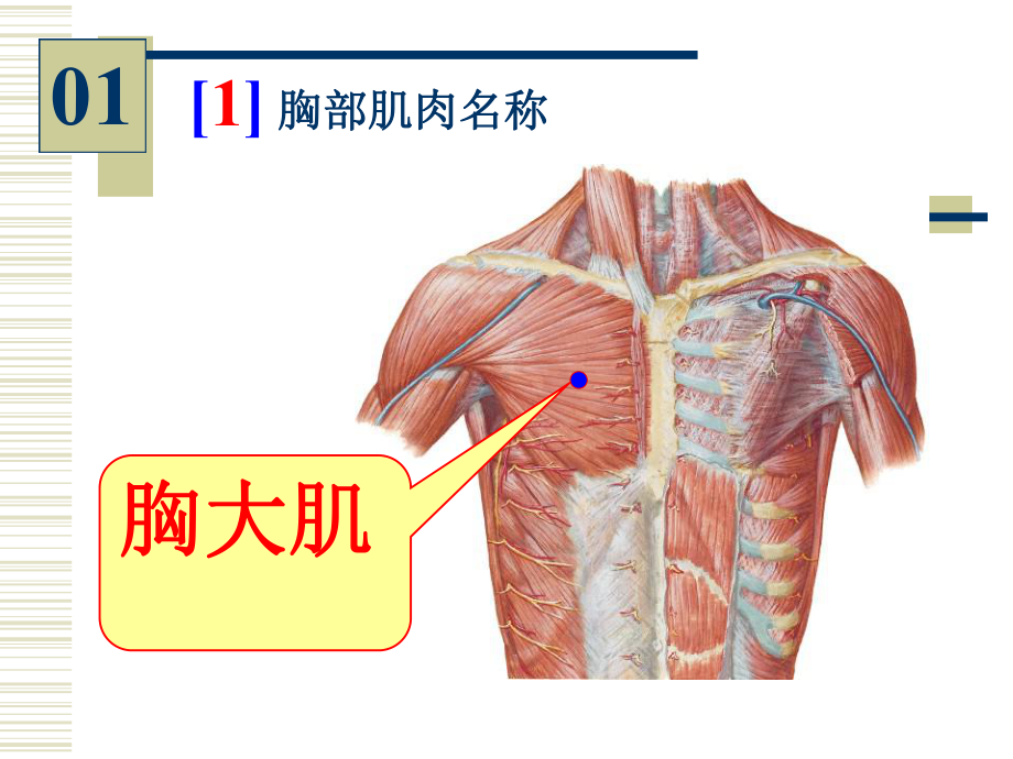 63学时实验.ppt_第3页