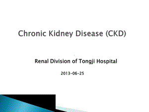 泌尿系统课件：CKD english version 2013.ppt