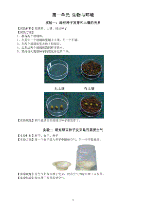 小学科学教科版五年级下册全册实验报告（共20个实验）（2022新版）.docx