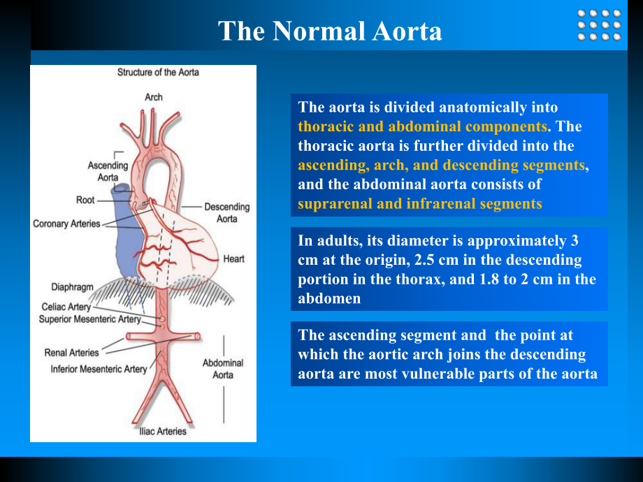 循环系统内科学课件：aortic diseases.ppt_第3页