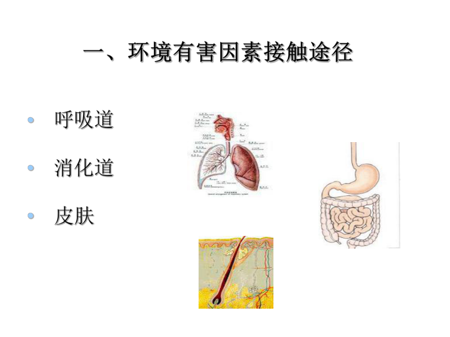 预防医学课件：环境有害因素对健康的危害(ACER-PC-acer-2014-05-02-00,33,35).ppt_第2页