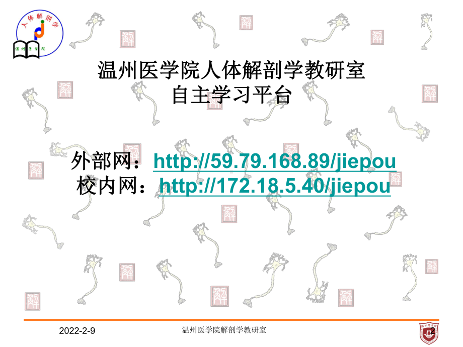 系统解剖课件：骨骼肌.ppt_第2页